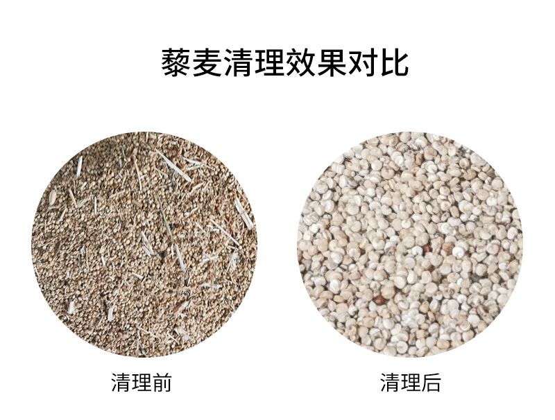 藜麥專用振動雙層去石機  藜麥清理去石機