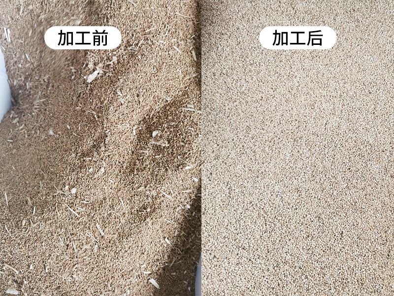 日產(chǎn)24噸不銹鋼藜麥成套設(shè)備03_Jc.jpg