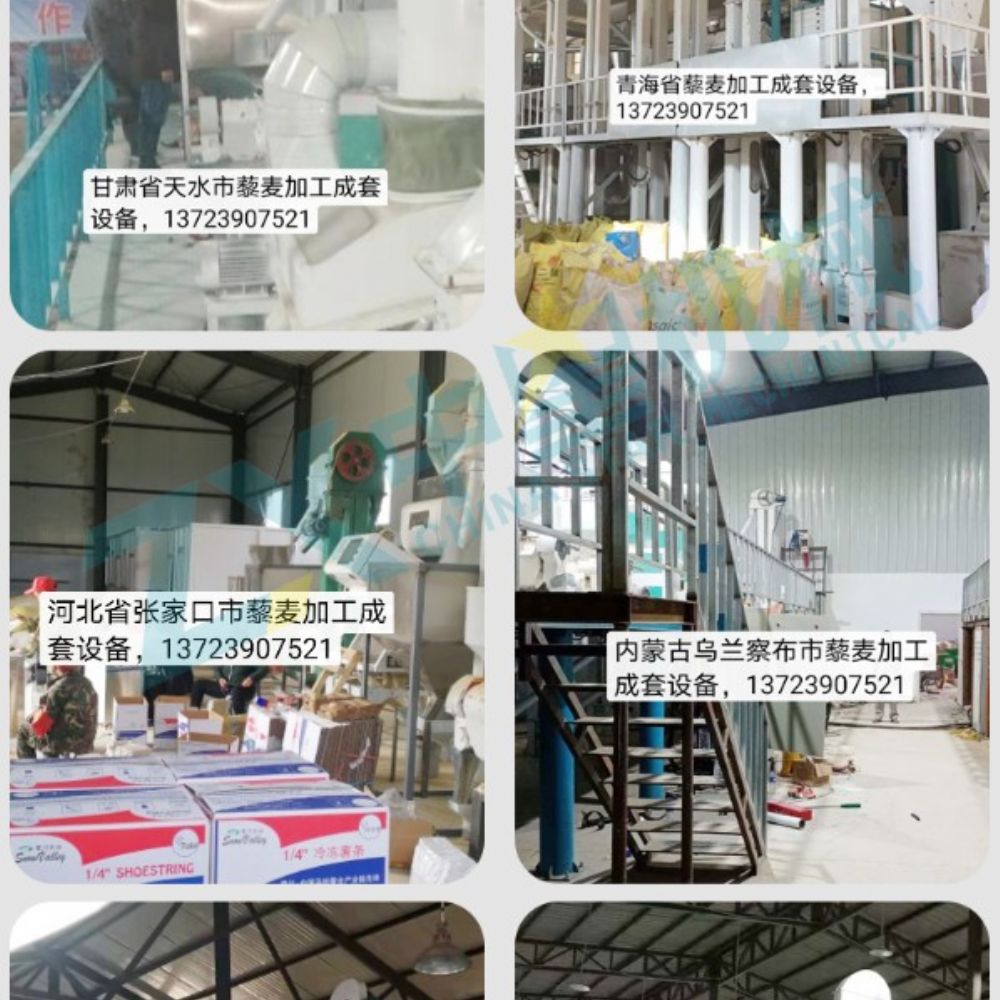 藜麥水洗烘干成套設(shè)備
