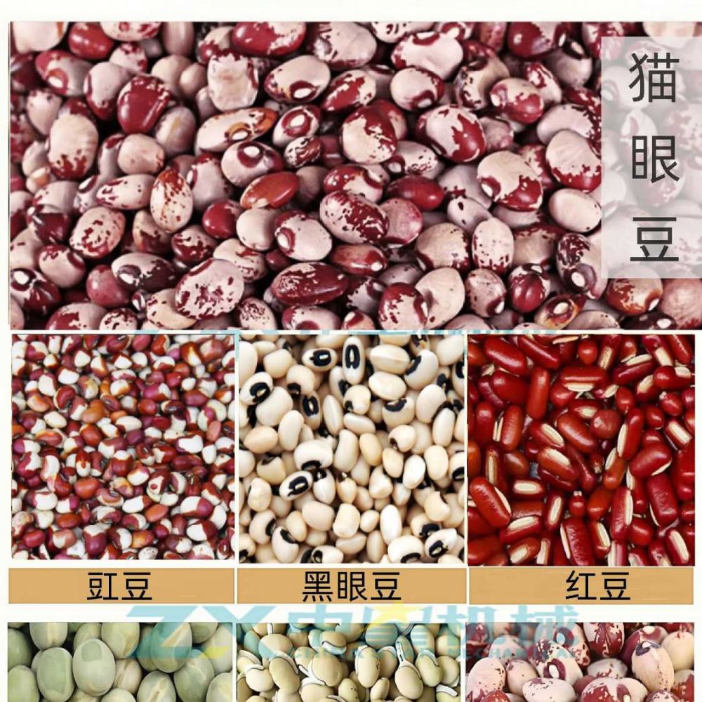 貓眼豆脫皮機